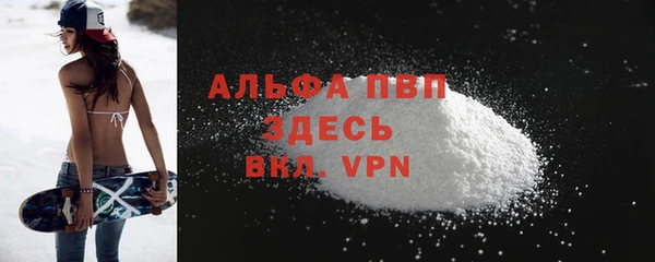 дмт Вяземский