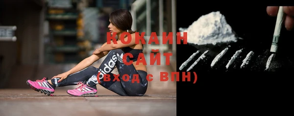 дмт Вяземский