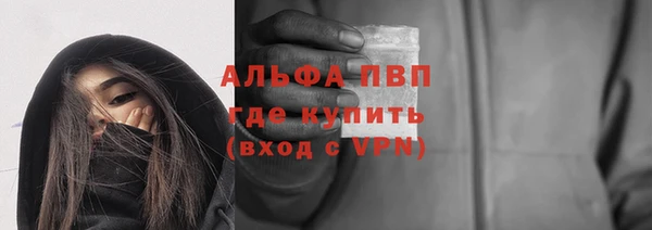 дмт Вяземский