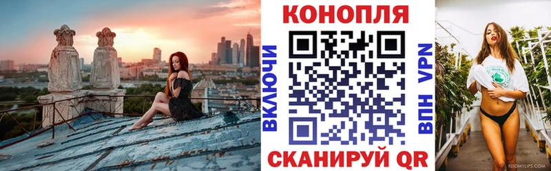 купить наркотики сайты  Гаврилов Посад  Канабис MAZAR 